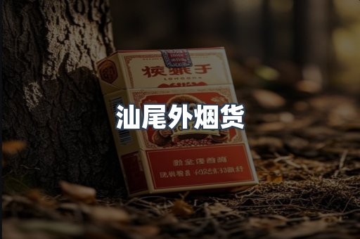 汕尾外烟货